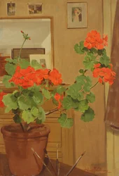 Geraniums in een studioruimte, 1948-49